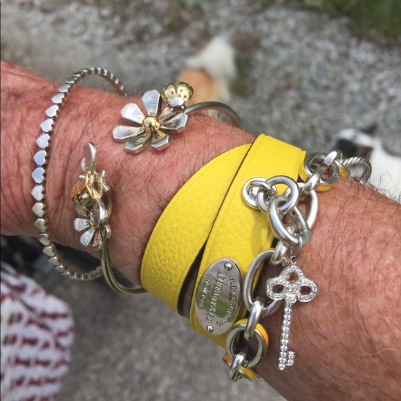 Meet your Posher, Donna - Picture 5 of 5